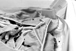 �Q������